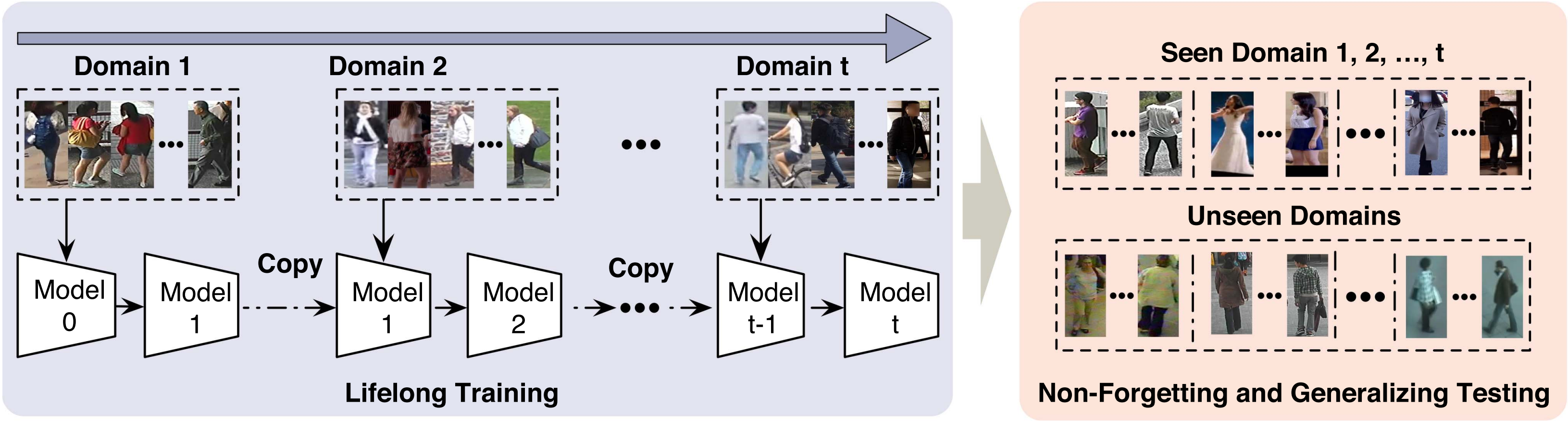 A Memorizing and Generalizing Framework for Lifelong Person Re-Identification