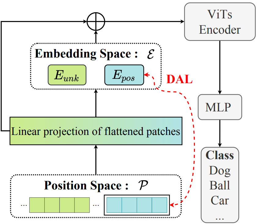 Masked Jigsaw Puzzle: A Versatile Position Embedding for Vision Transformers
