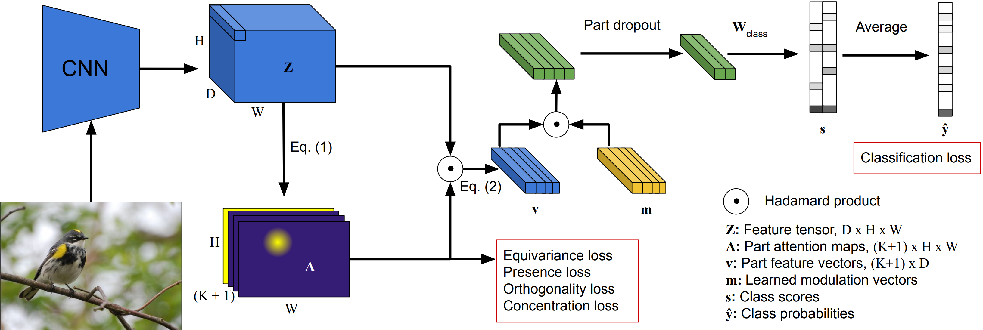 PDiscoNet: Semantically consistent part discovery for fine-grained recognition
