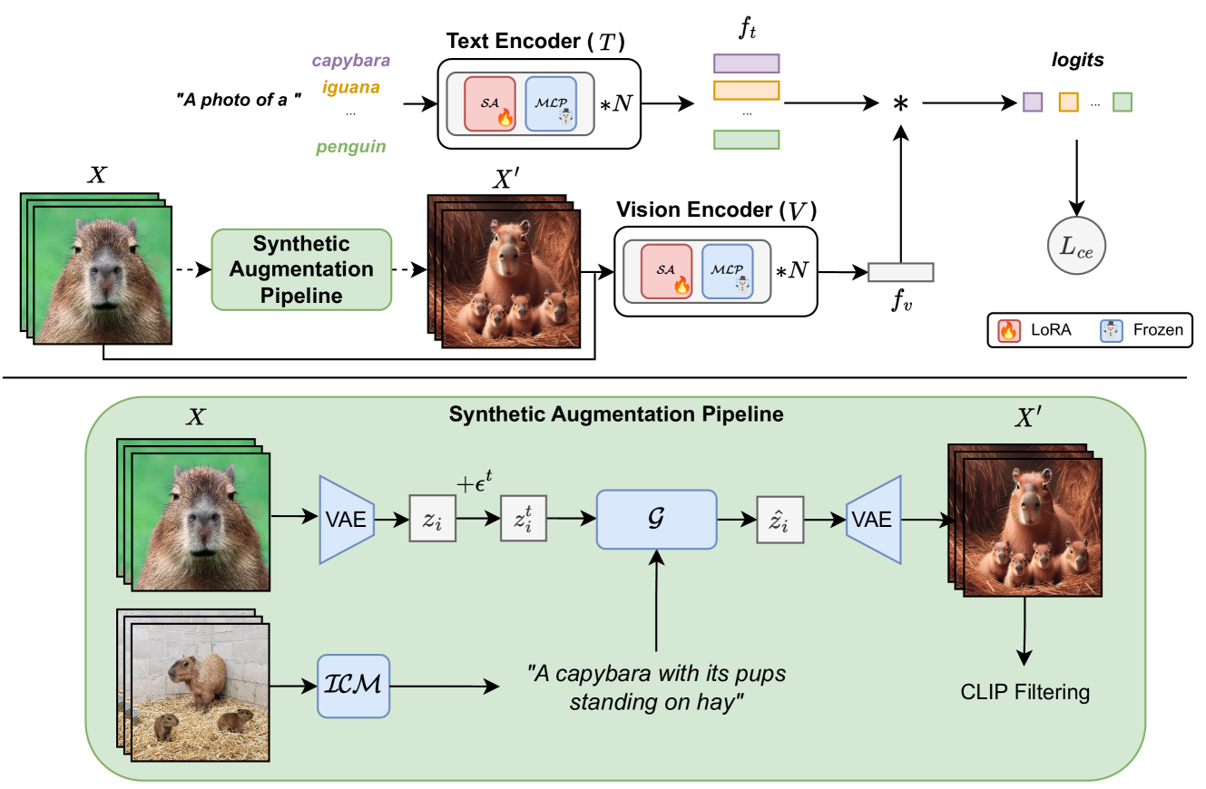 Diversified in-domain synthesis with efficient fine-tuning for few-shot classification