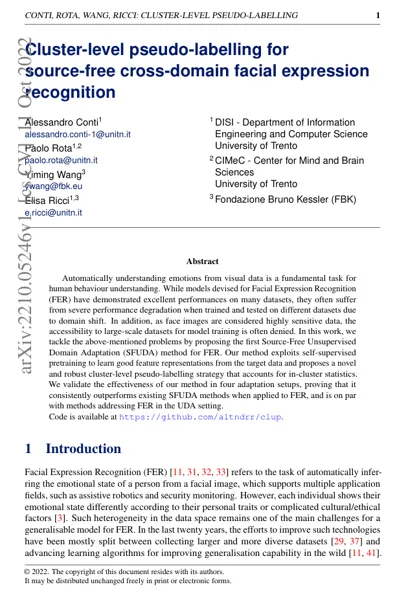 Cluster-level pseudo-labelling for source-free cross-domain facial expression recognition