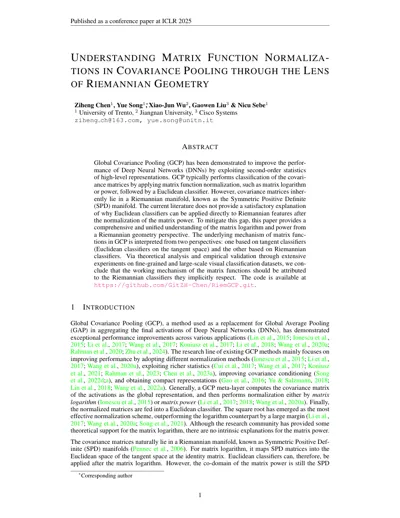 Understanding Matrix Function Normalizations in Covariance Pooling from the Lens of Riemannian Geometry