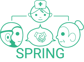 SPRING project image